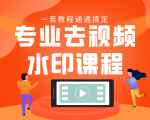 专业去视频水印教程 静态水印、动态水印、文字水印、图片水印一套教程通通搞定-副业宇宙