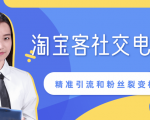 某站内部课程：淘宝客社交电商裂变，精准引流和粉丝裂变模式详解（共6节视频）-副业宇宙