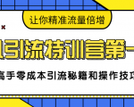 卓凡引流特训营第一期：高手零成本引流秘籍和操作技巧，让你精准流量倍增-副业宇宙