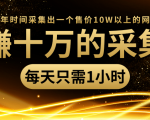 年赚十万的采集站,每天却只需要1小时,一年时间采集出一个售价10W以上的网站-副业宇宙