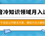 抖音冷知识领域月入过万项目，不适宜公开解决方案 ，抖音赚钱方式大解析！-副业宇宙