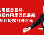 利用信息差异，零投资操作阿里巴巴最新管道项目轻松月赚10000+-副业宇宙