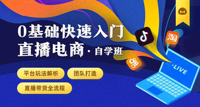 0基础快速入门直播电商课程：直播平台玩法解析-团队打造-带货全流程等环节-副业宇宙