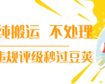 抖音纯搬运 不处理 小技巧，30秒发一个作品，避免违规评级秒过豆荚-副业宇宙