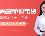 抖音高单价带货项目，一单佣金几十上百元，核心套路月入几十万（共3节）-副业宇宙