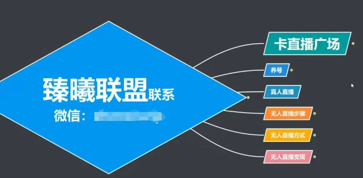 臻曦联盟，最新无人直播万人在线技术理原及详细操作步骤解析（视频教程）-副业宇宙