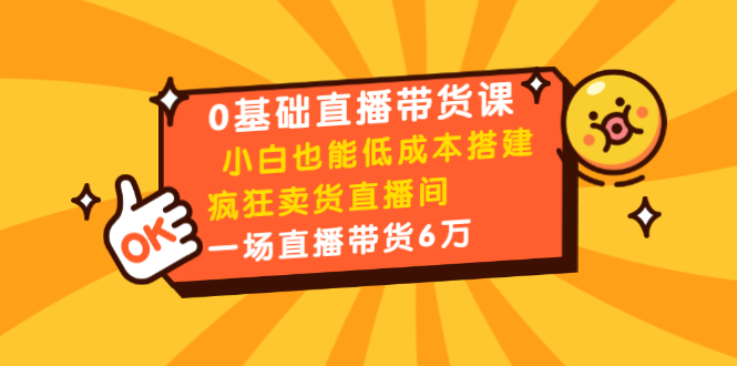 0基础直播带货课：小白也能低成本搭建疯狂卖货直播间：1场直播带货6万-副业宇宙