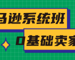 亚马逊系统班，专为0基础卖家量身打造，亚马逊运营流程与架构-副业宇宙