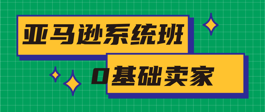 亚马逊系统班，专为0基础卖家量身打造，亚马逊运营流程与架构-副业宇宙