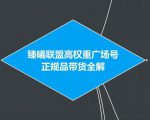 臻曦联盟抖音高权重广场号无人直播正规品带货全解-副业宇宙