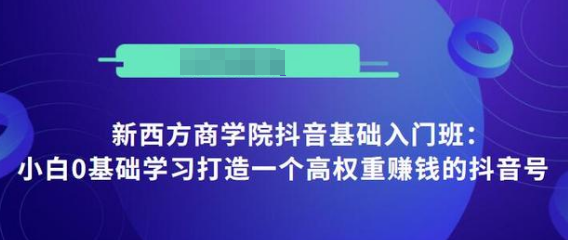 抖音基础入门班：小白0基础学习打造一个高权重赚钱的抖音号-副业宇宙