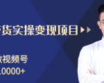 柚子分享课：微信视频号变现攻略，新手零基础轻松日赚千元-副业宇宙