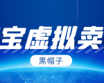 黑帽子淘宝虚拟卖货项目，单店每月收入5000+-副业宇宙