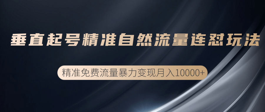 垂直起号精准自然流量连爆玩法，精准引流暴力变现月入10000+-副业宇宙