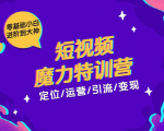 零基础小白进阶到大神《短视频魔力特训营》定位-运营-引流-变现-副业宇宙