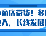微信小商店带货，爆单多倍收入，长期复利循环！日赚300-800元不等-副业宇宙