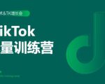2020最新TikTok流量增长训练营(完结)附PPT-副业宇宙