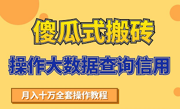 搬砖操作大数据查询信用项目赚钱教程，祝你快速月入6万-副业宇宙