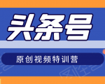 头条号原创视频特训营：一对一带你玩转短视频，新号10天日收益破252元-副业宇宙