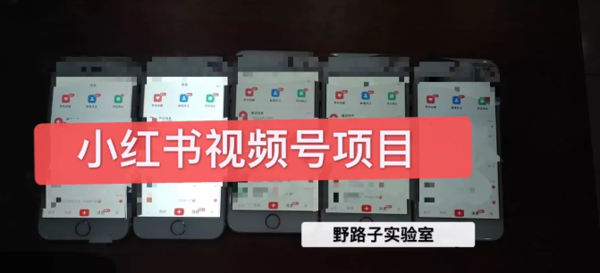 野路子小红书视频号1.0项目，直接上手操作就能赚钱的视频号项目-副业宇宙