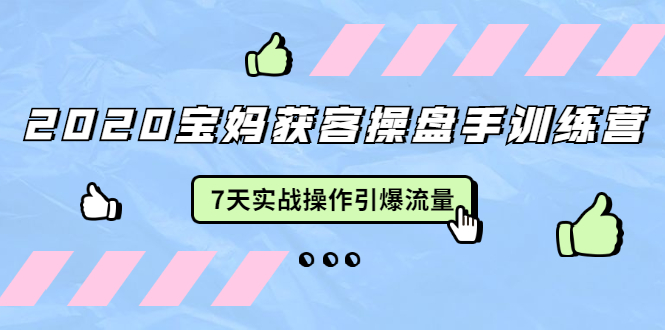 2020宝妈获客操盘手训练营：7天实战操作引爆 母婴、都市、购物宝妈流量-副业宇宙