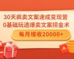 30天疯卖文案速成变现营，0基础玩透爆卖文案捞金术！每月增收20000+-副业宇宙