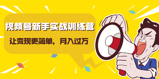 视频号新手实战训练营，让变现更简单，玩赚视频号，轻松月入过万-副业宇宙