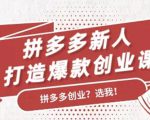 拼多多新人打造爆款创业课:快速引流持续出单,适用于所有新人-副业宇宙