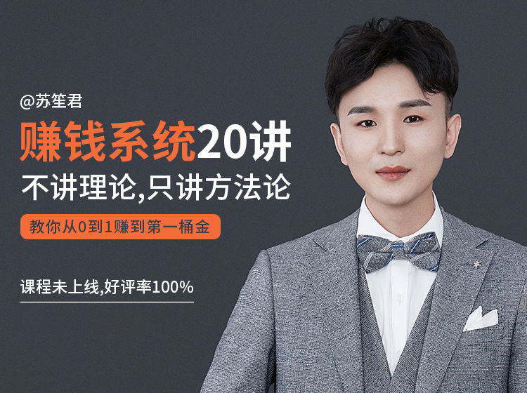 苏笙君的赚钱系统20课 教你从0到1赚到你的第一桶金（不讲理论，只讲方法论）-副业宇宙