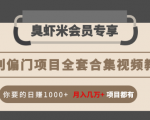 暴利偏门项目全套合集视频教程:你要的日赚1000+月入几万+项目都有-副业宇宙