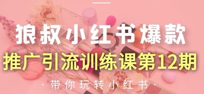狼叔小红书爆款推广引流训练课第12期，手把手带你玩转小红书-副业宇宙
