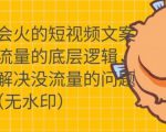 只说话就会火的短视频文案课,从根本上解决没流量的问题-副业宇宙