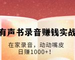 有声书录音赚钱实战:在家录音,动动嘴皮,日赚1000+!-副业宇宙