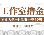 工作室撸金二件套:撸今日头条原创收益+小红书一单利润40块项目-副业宇宙