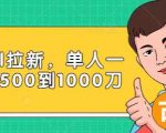 Paypal拉新赚美刀项目,单人一天利润500-1000刀【视频课程】-副业宇宙