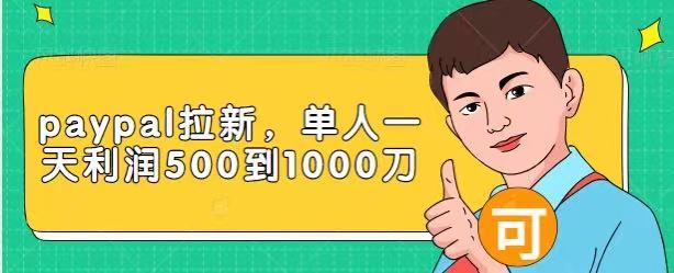 Paypal拉新赚美刀项目，单人一天利润500-1000刀【视频课程】-副业宇宙