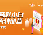 雨课·亚马逊小白特训营第9期 跨境电商挺赚钱的 有朋友已经月入几十万美金-副业宇宙