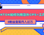 详细解析TIKTOK如何利用海外CPS+工具0粉丝轻松变现月入过万-副业宇宙