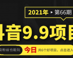 抖音9.9课程项目,没粉丝也能卖课,一天300+粉易变现-副业宇宙