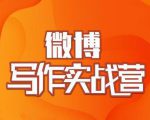 村西边老王·微博超级写作实战营,帮助你粉丝猛涨价值999元-副业宇宙