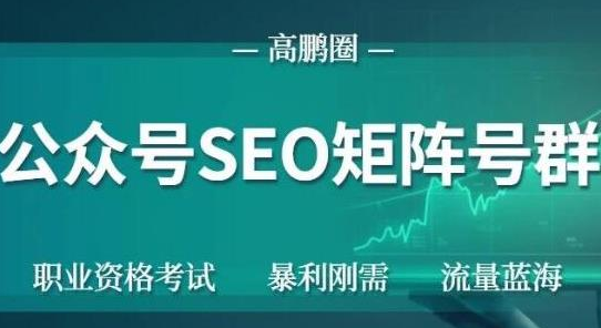 高鹏圈公众号SEO矩阵号群，实操20天纯收益25000+，普通人都能做-副业宇宙