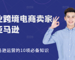 职业跨境电商卖家聊亚马逊:亚马逊运营的10项必备知识,12堂课让你看懂亚马逊运营-副业宇宙