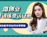 微创业全能训练营认证班课程,从理论知识与实际案例手把手指导创业新手如何从零到有-副业宇宙
