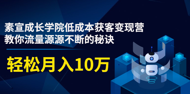 素宣成长学院低成本获客变现营，教你流量源源不断的秘诀，轻松月入10万-副业宇宙