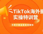 TikTok海外掘金实操特训营：手把手教运营变现赚钱-副业宇宙