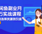 2021闲鱼副业月入过万实战课程：从开店到选择货源到引流，全程实战教学-副业宇宙