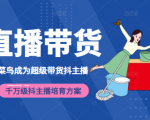 3天从菜鸟成为超级带货抖主播,千万级抖主播培育方案(价值980元)-副业宇宙