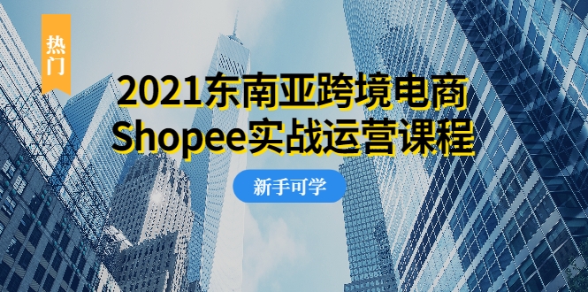 2021东南亚跨境电商Shopee实战运营课程，0基础、0经验、0投资的副业项目-副业宇宙