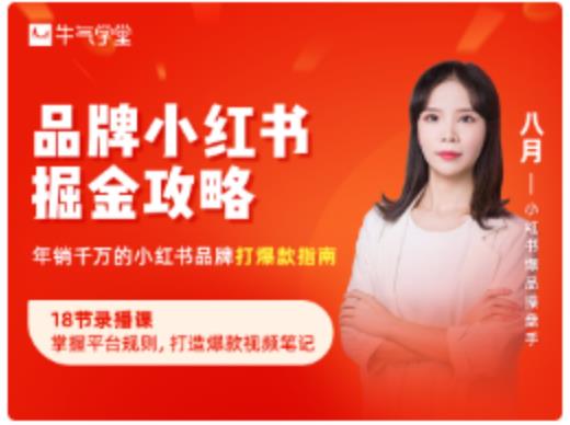 品牌小红书掘金攻略，年销千万的小红书品牌打爆款指南-副业宇宙