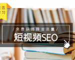 未来新趋势,布局短视频SEO,如何利用抖音SEO免费获得精准流量(3节课)-副业宇宙
